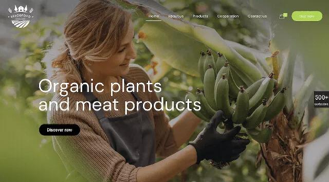 2020年的5大網(wǎng)頁(yè)設(shè)計(jì)趨勢(shì)將伴隨我們 2020年的5大網(wǎng)頁(yè)設(shè)計(jì)趨勢(shì)將伴隨我們